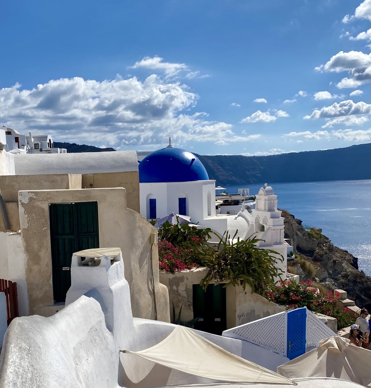 Santorini blue roofs and bougevilla picture